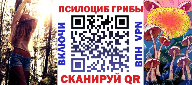 omg ONION  Приволжский  Галлюциногенные грибы Cubensis 